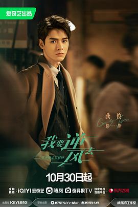 专业的seo排名优化推广联系热线